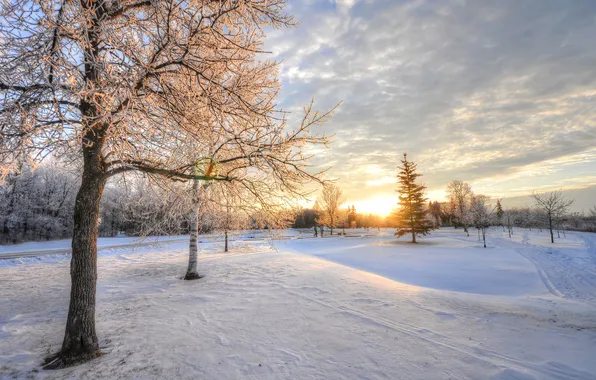 Картинка зима, пейзаж, утро