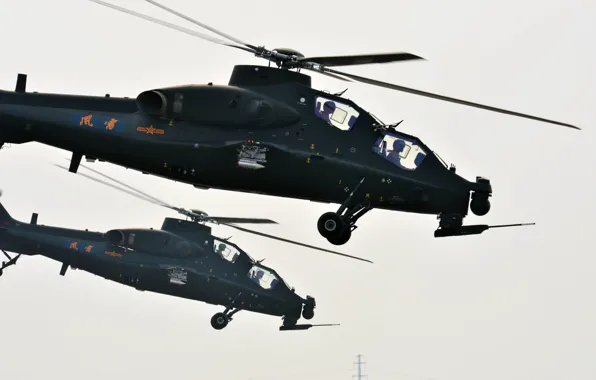 Gun, weapon, red star, attack helicopter, China Air Force, CAIC Z-10, WZ-10