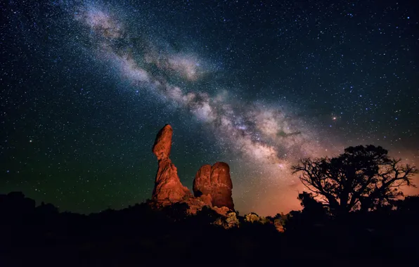 Картинка небо, звезды, ночь, дерево, пустыня, каньон, млечный путь, силуэты