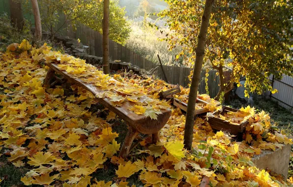 Картинка осень, листья, скамья