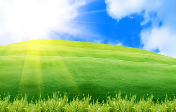 Картинка зелень, лето, небо, трава, солнце, лучи, свет, природа