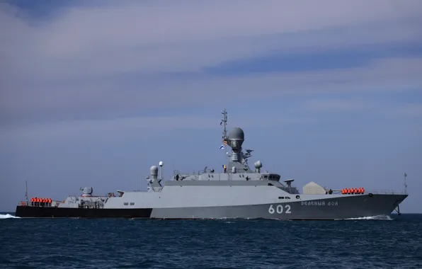 Корабль, ВМФ, ракетный, малый, "Зеленый Дол"