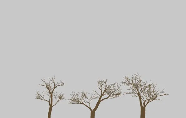 Картинка деревья, ветки, природа
