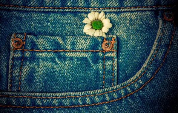 Картинка цветок, макро, джинсы