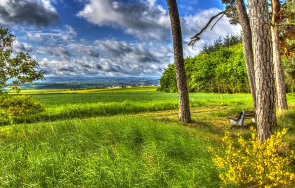Зелень, поле, лето, небо, природа, краски, HDR, summer