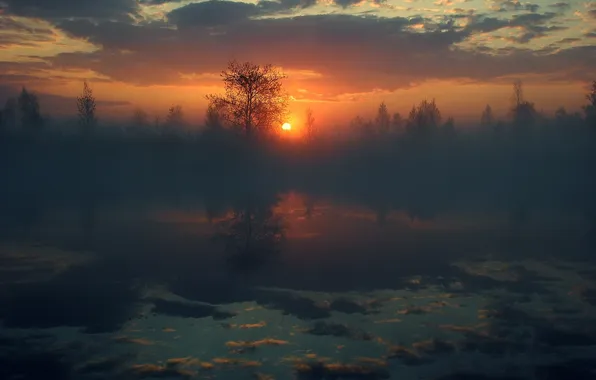 Небо, вода, солнце, деревья, отражение