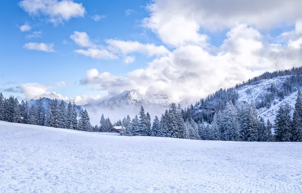 Картинка зима, лес, снег, горы, дом, елки
