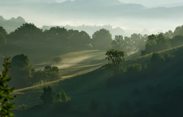Картинка небо, трава, деревья, горы, туман, холмы, утро