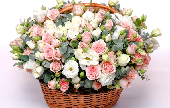 Корзина, розы, букет, нежные, Rose, beautiful, lovely, basket