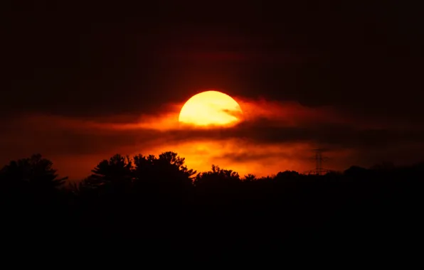 Clouds, Sky, Wood, Landscape, Sun, Trees, Natur, Sun Goes Down