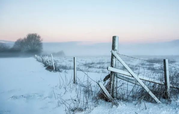 Картинка поле, снег, пейзаж, туман, забор, утро