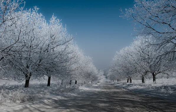 Зима, дорога, небо, деревья, Снег, мороз