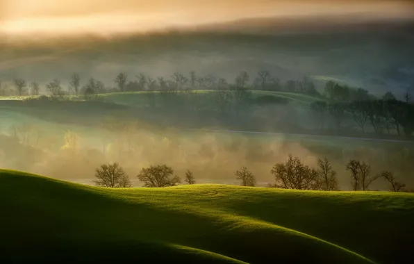 Поле, пейзаж, туман, утро