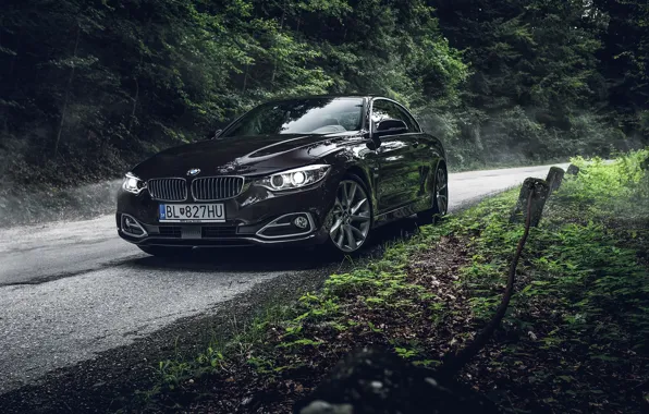 Картинка BMW, Dark, Car, Munich, Photo, Photography, Automotive, Trees