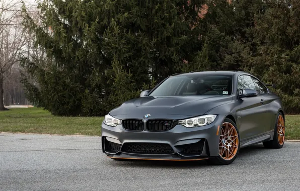 BMW, GTS