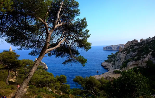 Картинка море, деревья, пейзаж, природа, скалы, побережье, Франция
