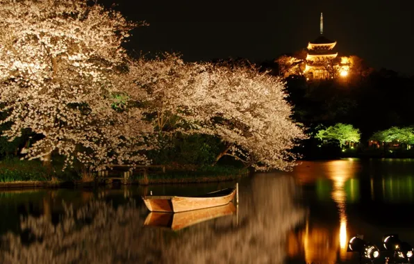 Лодка, сакура, подсветка, пагода, Tokyo, Japan