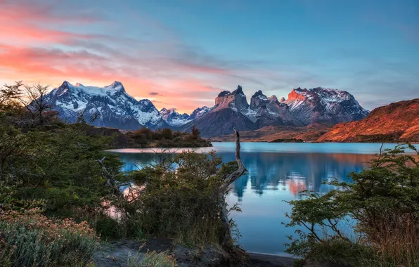 Чили, Южная Америка, Patagonia, Патагония, Torres del Paine, Lake Pehoe, Puerto Weber