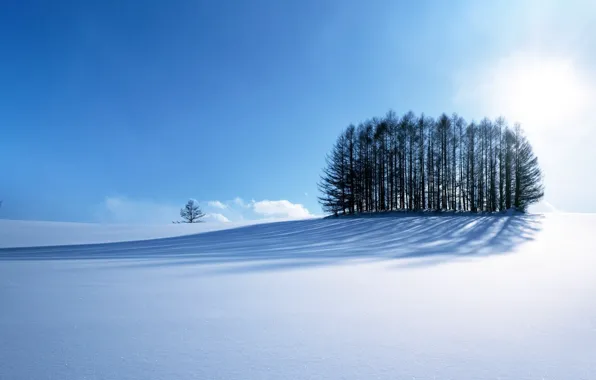 Картинка road, sky, trees, blue, winter, mountain, snow, sun