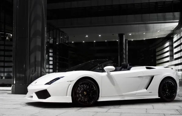 Скорость, Lamborghini, Машины, цвеи белый