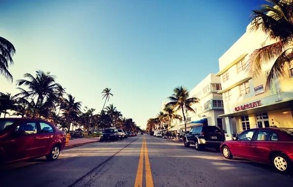 Дорога, авто, небо, пальмы, улица, Майами, Флорида, Miami