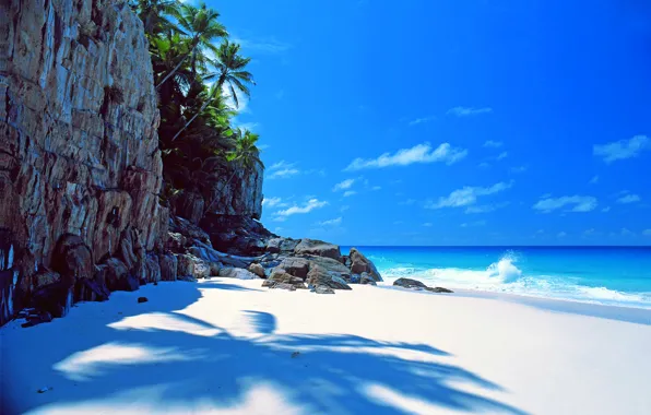 Картинка песок, море, пляж, небо, пальма, камни, обрыв, океан