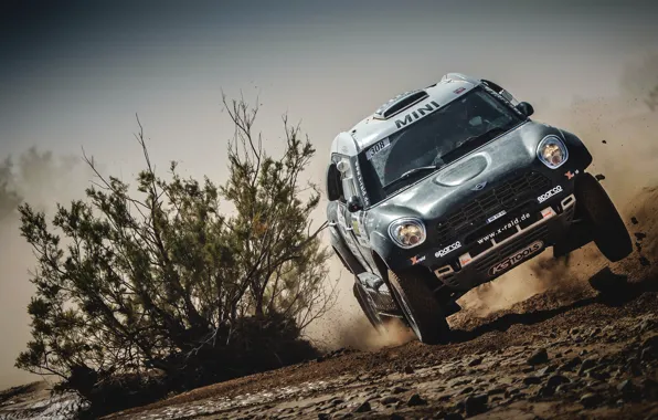 Mini, Черный, Скорость, Гонка, 308, Rally, Внедорожник, Ралли