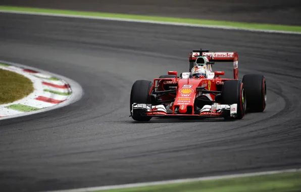 Scuderia, Pirelli, Italia, Monza