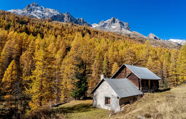 Осень, лес, небо, трава, солнце, деревья, горы, скалы