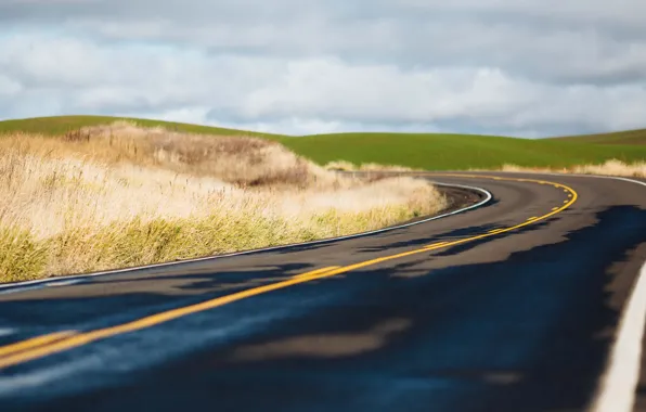 Road, cloudy, farmland