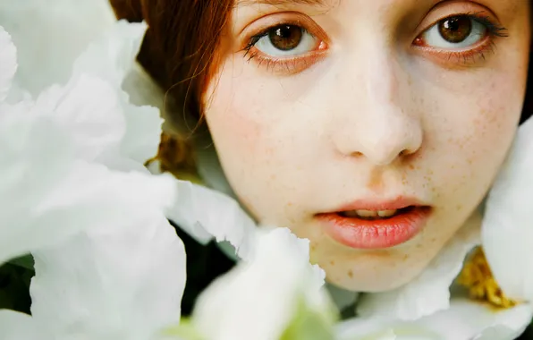 Взгляд, цветы, лицо, Анна, Marie Dashkova