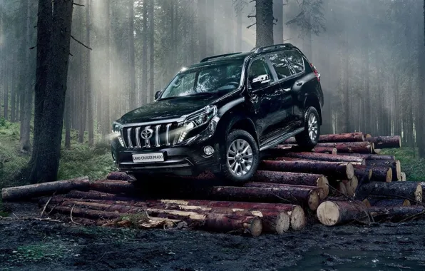 Япония, Лес, Свет, Заезд, Land Cruiser, Prado, Дымка, Брёвна