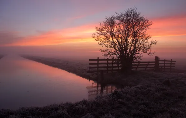 Water, tree, fog, fence, sunrise, frost