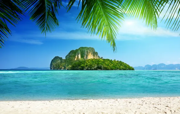 Картинка море, тропики, пальма, скалы, побережье, остров, rocks, palm trees