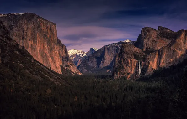 Картинка лес, деревья, долина, Калифорния, California, Национальный парк Йосемити, Yosemite National Park, горы Сьерра-Невада