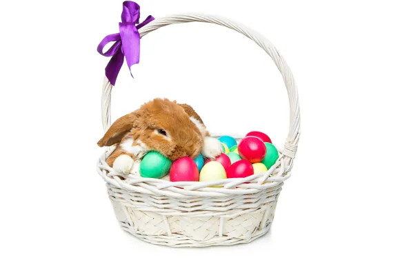 Корзина, кролик, Пасха, happy, rabbit, spring, Easter, eggs