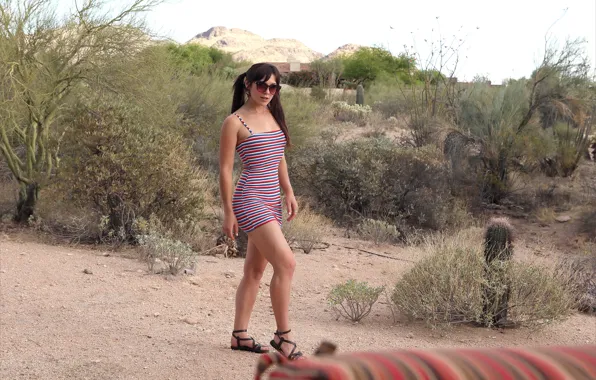 Red, white, hot girl, desert, brown hair, blue, stripes, tree