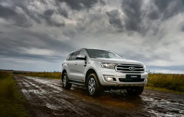 Картинка Ford, грязь, сырость, Everest, 4WD, XLT, 2019