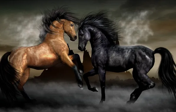Картинка туман, кони, лошади, пара