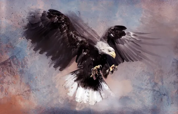 Картинка птица, орел, хищник, перья, bird, feathers, predator, bald eagle