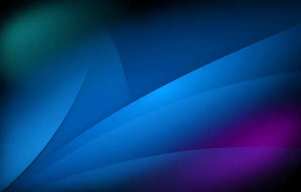 Листья, свет, линии, цвет, лепестки