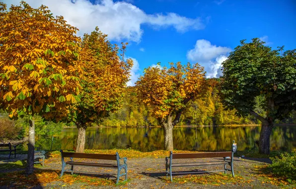 Картинка осень, деревья, скамейка, природа, река, фото, Германия
