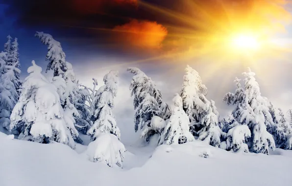 Картинка зима, лес, солнце, снег