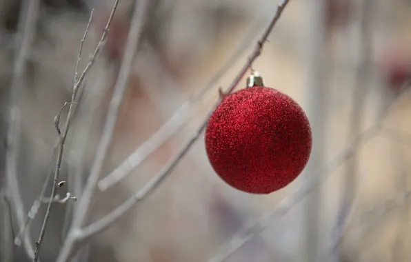 Картинка праздник, игрушка, шар, шарик, Christmas time