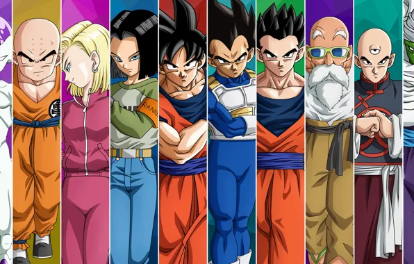 DBS, game, android, armor, anime, manga, sensei, Son Goku