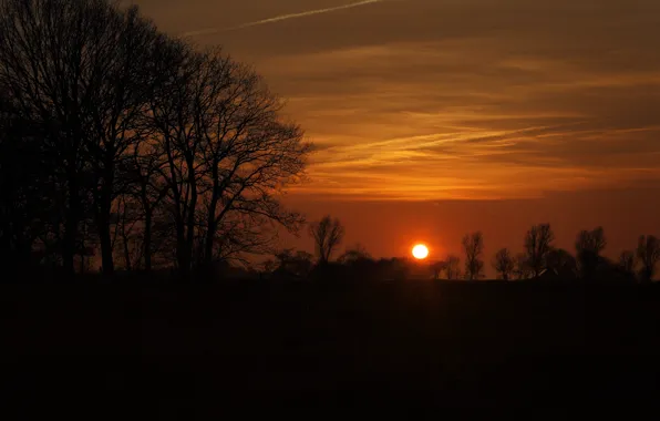 Картинка небо, деревья, восход, силуэт, sky, trees, Sunrise