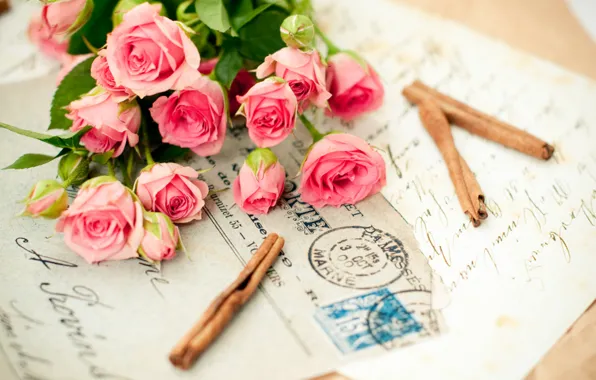 Картинка цветок, письмо, любовь, цветы, воспоминания, розовый, романтика, розы