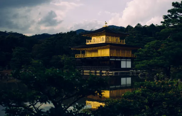 Japan, forest, Kyoto, sky, trees, nature, yellow, clouds