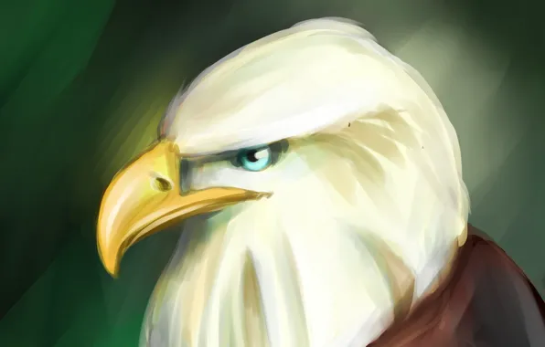 Орел, арт, art, eagle
