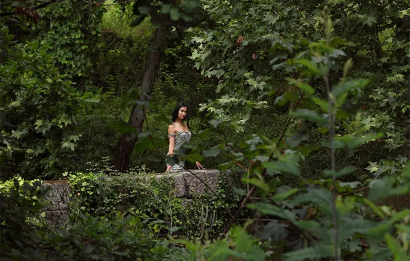 Forest, trees, nature, model, Aria, countryside, gorgeous, photoshoot